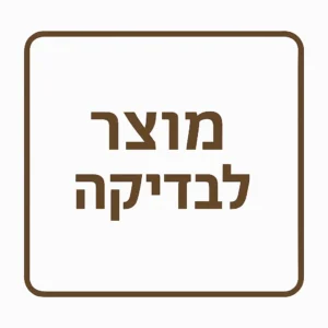 בדיקה
