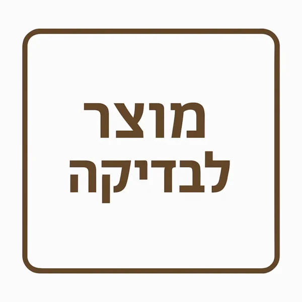 בדיקה